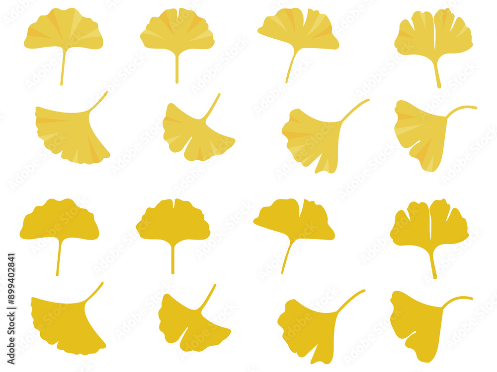 紅葉したイチョウの葉