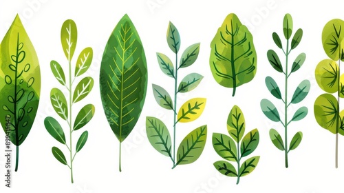 A serene collection of handdrawn botanical illustrations, celebrating greenery on a pure white backdrop.