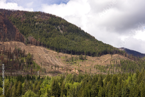 Photography View of mountainside clearcut after wildfire in British Columbia.