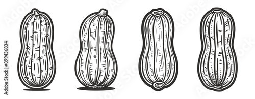 collection black and white drawings of peanuts illustration ,generative ai