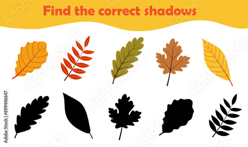 Find the correct shadow. Various autumn leaves, game theme autumn. Logic game for children. Vector illustration in flat style for childrens books and magazines