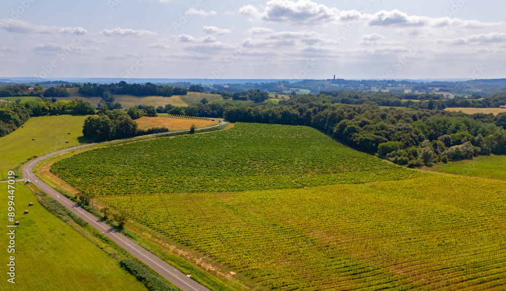 Obraz premium Colline et vignoble