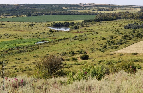 landscape in the countryside