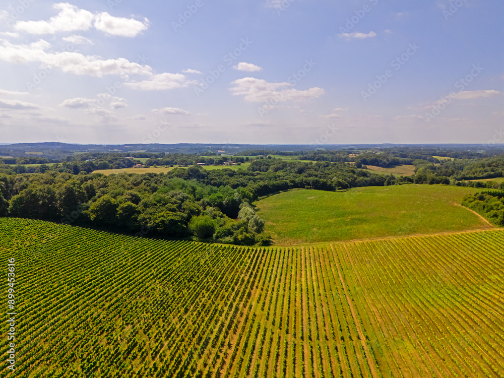 Grand vignoble Grand vignoble