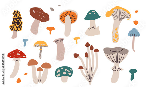 Mushrooms set. Autumn forest plants. Fall season food, raw healthy natural fungi, stalks and caps of different types. Modern botanical flat graphic vector illustrations isolated on white background