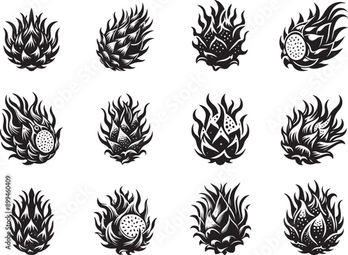 Dragon Fruit Silhouette Vector Illustration