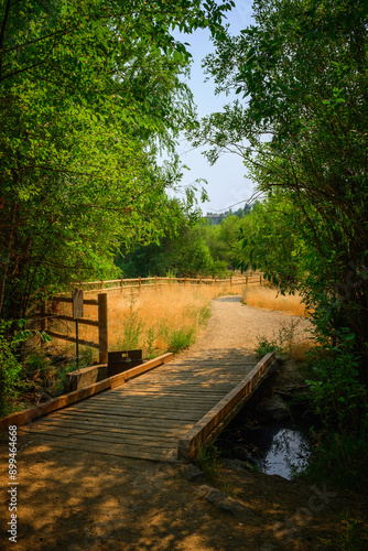 Footbridge on Camels Back Trail in Boise, Idaho: The summer beauty of the woodland and walking paths in the Idaho-Bitterroot Rocky Mountains