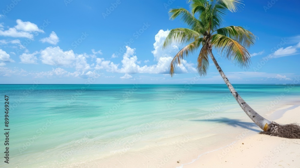Fototapeta premium Beach Featuring a Trimmed Palm Tree