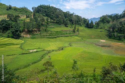 Scenic view of rice terraces near Bac Ha, Lao Cai Province, Vietnam photo