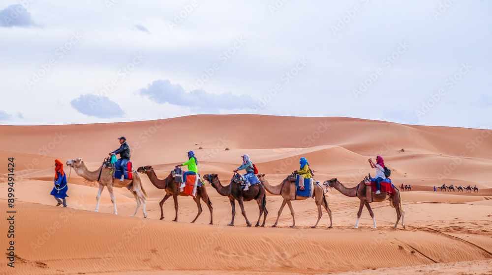 A group of tourists enjoys a camel ride amidst the majestic Merzouga dunes, their excitement palpable as they traverse the golden sands. The serene landscape and stunning vistas create an unforgettabl A group of tourists enjoys a camel ride amidst the majestic Merzouga dunes, their excitement palpable as they traverse the golden sands. The serene landscape and stunning vistas create an unforgettabl
