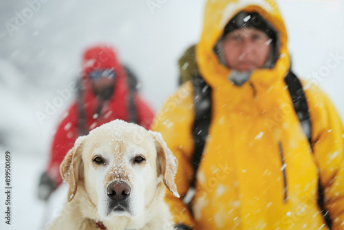 A trained mountain rescue d...