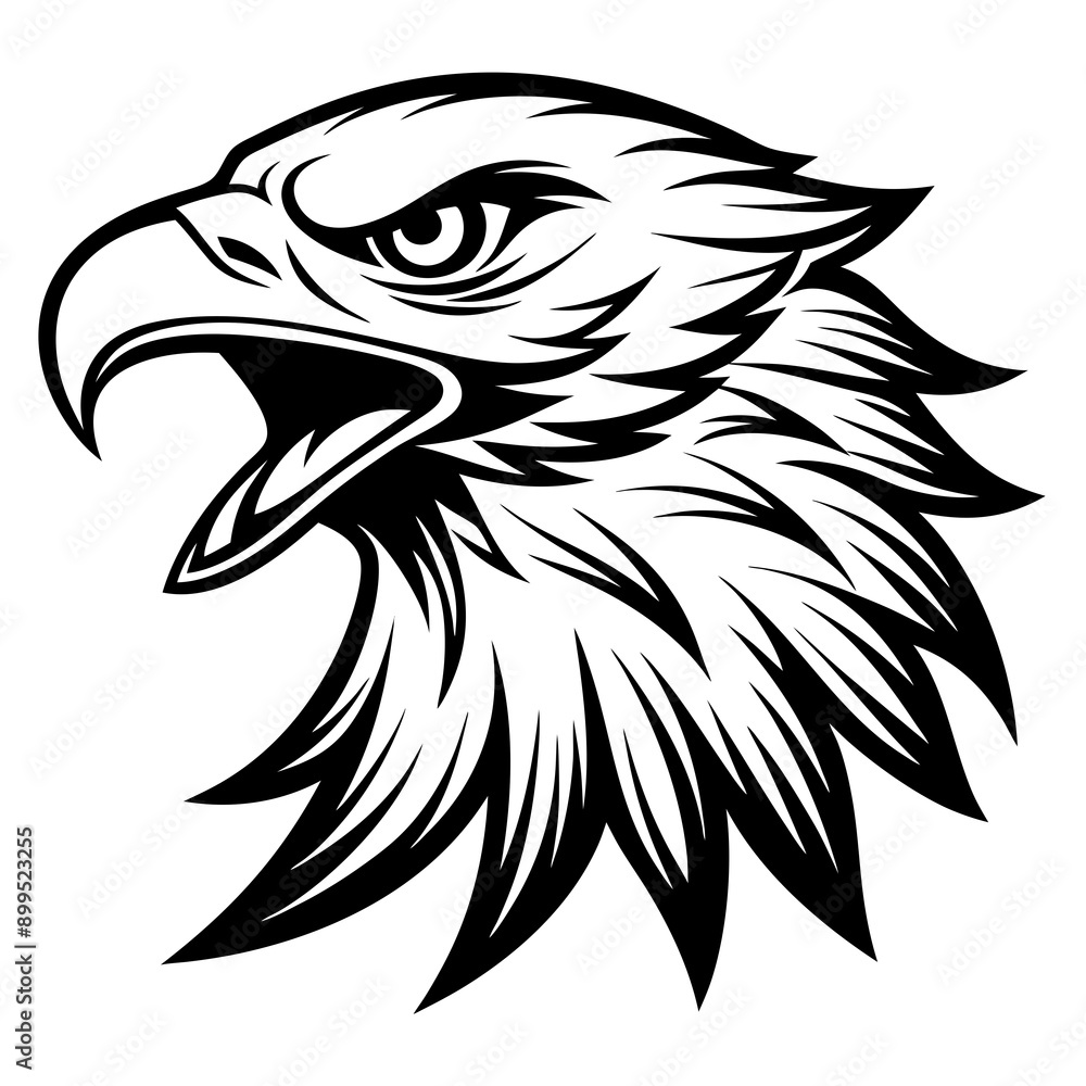 eagle Vector eagle Vector