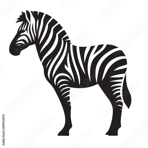  zebra Silhouette vector white back ground