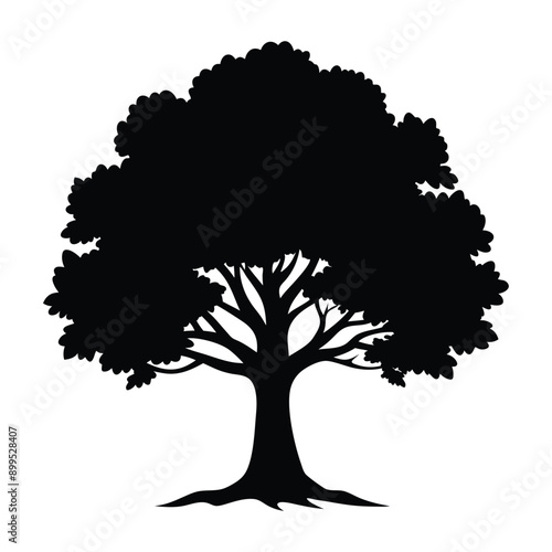 oak tree silhouette isolated on white
