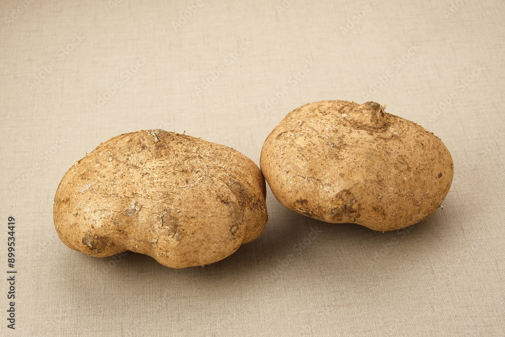 Fresh Jicama or bengkoang, white tubers that can be eaten as salad or for face masks. Prebiotic food, gut health.
Fresh Jicama or bengkoang, white tubers that can be eaten as salad or for face masks. Prebiotic food, gut health.