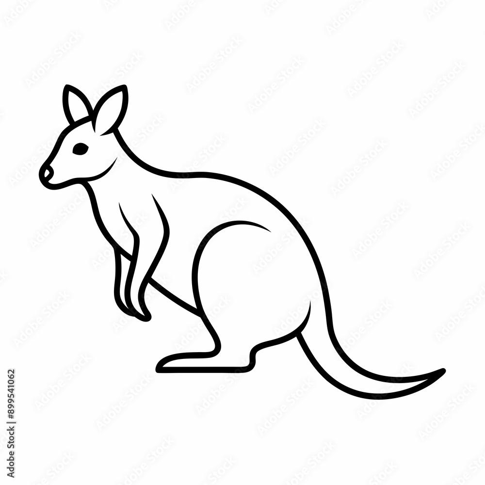 Kangaroo Vector Kangaroo Vector