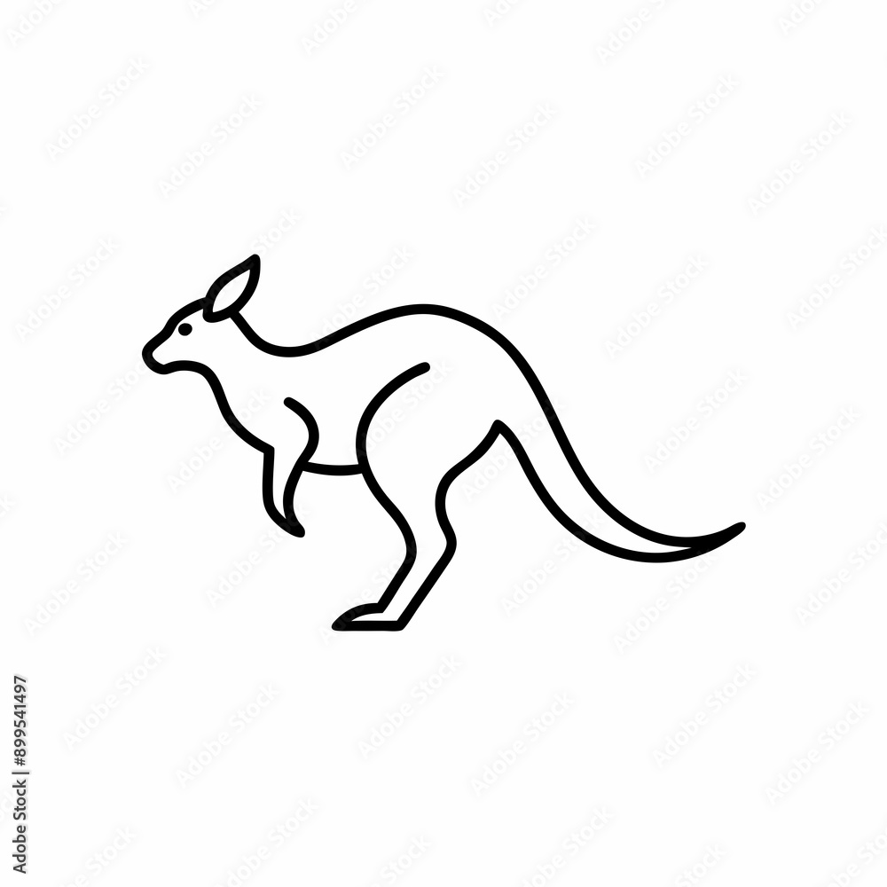 Fototapeta premium Kangaroo Vector