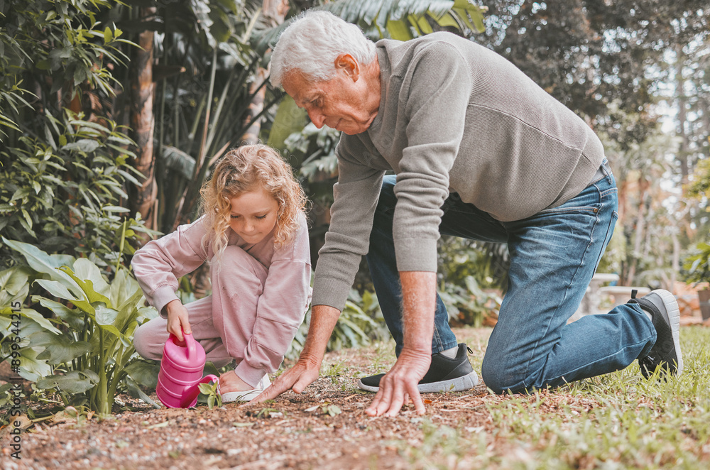 Gardening, watering can and old man teaching grandchild how to plant for growth or landscaping. Earth day, spring or sustainability with grandfather and girl in backyard together for growing Gardening, watering can and old man teaching grandchild how to plant for growth or landscaping. Earth day, spring or sustainability with grandfather and girl in backyard together for growing
