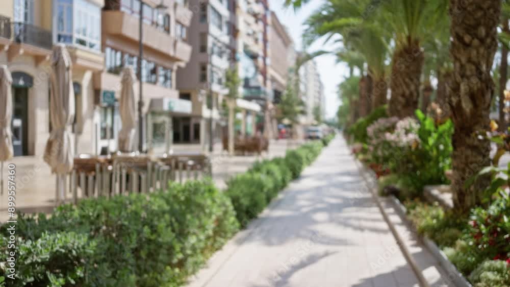 Defocused image of an outdoor street with palm trees, buildings, and sidewalk cafes highlighting urban, city, daytime, and green environments. Defocused image of an outdoor street with palm trees, buildings, and sidewalk cafes highlighting urban, city, daytime, and green environments.