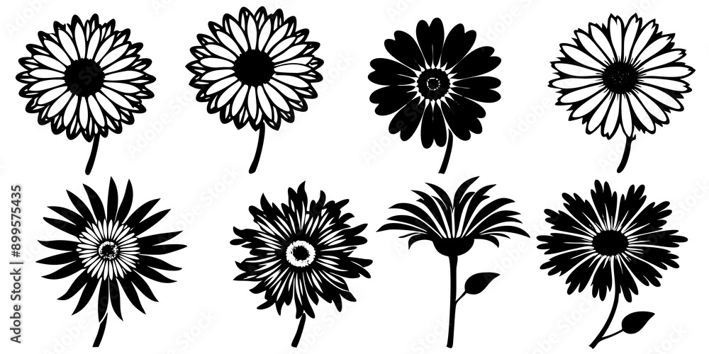 Orange flowers on white background, resembling soft bird plumage. Hand-drawn illustration. Orange flowers on white background, resembling soft bird plumage. Hand-drawn illustration.