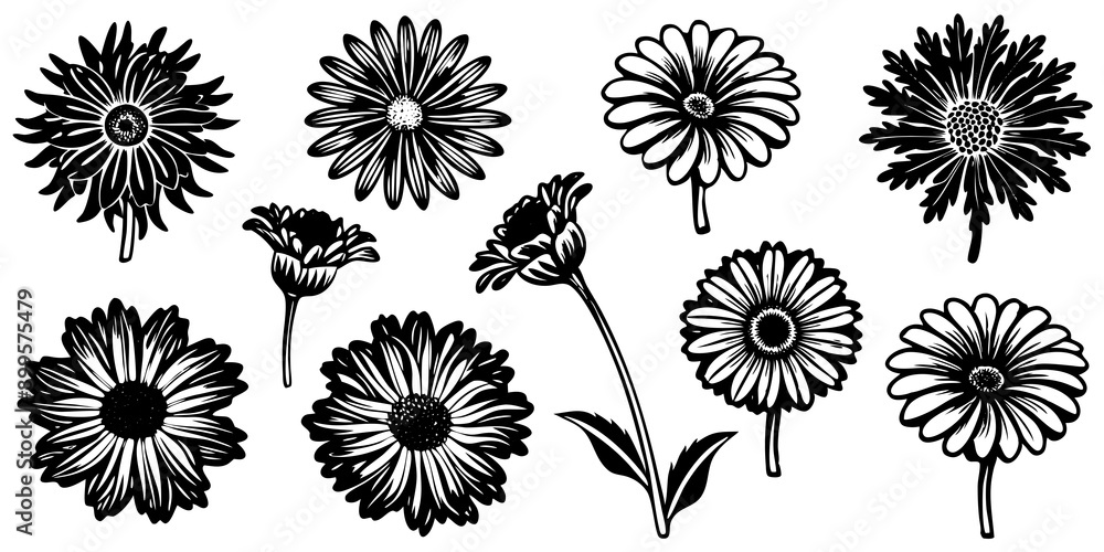 Orange flowers on white background, resembling soft bird plumage. Hand-drawn illustration. Orange flowers on white background, resembling soft bird plumage. Hand-drawn illustration.