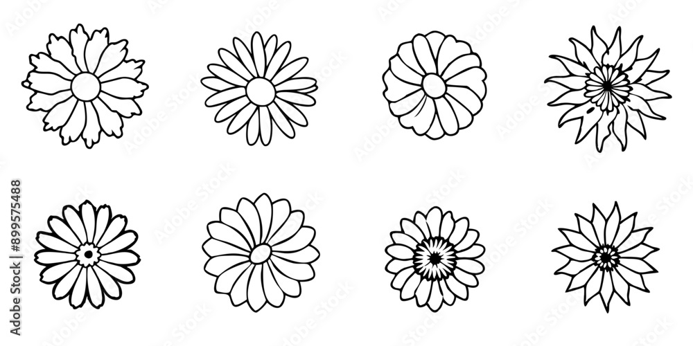 Orange flowers on white background, resembling soft bird plumage. Hand-drawn illustration. Orange flowers on white background, resembling soft bird plumage. Hand-drawn illustration.