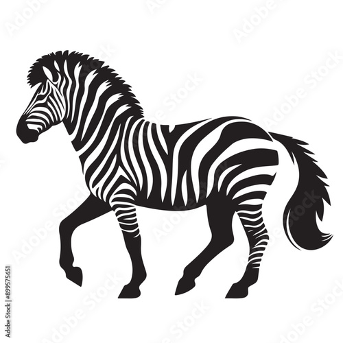  zebra Silhouette vector white back ground
