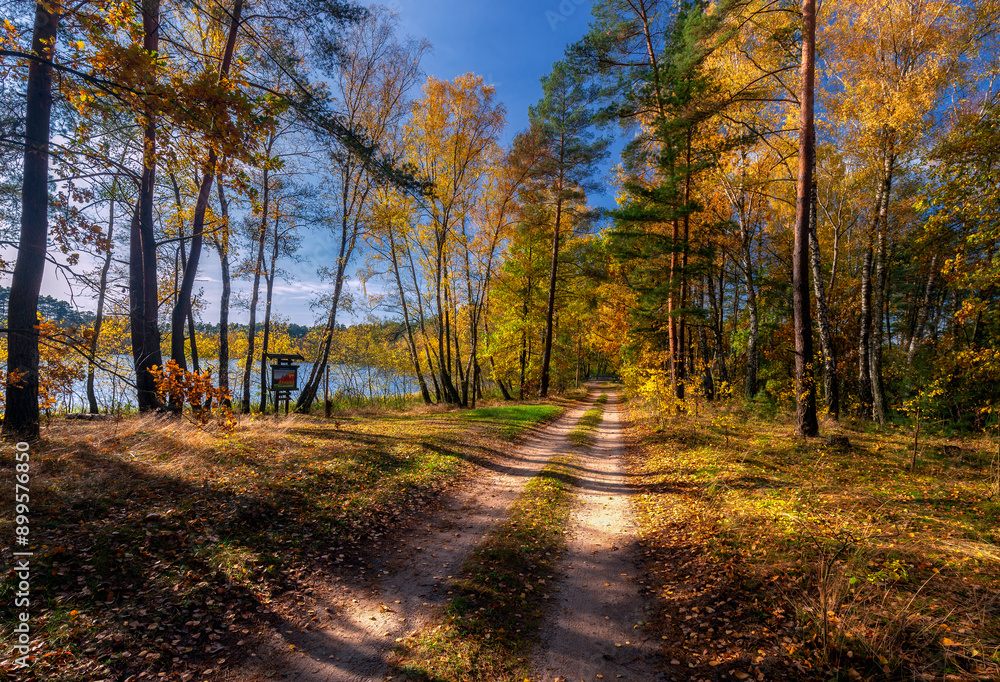 Fototapeta premium Jesień na pojezierzu