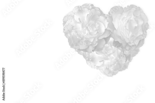 Tableau sur toile Cœur de roses blanches sur fond blanc