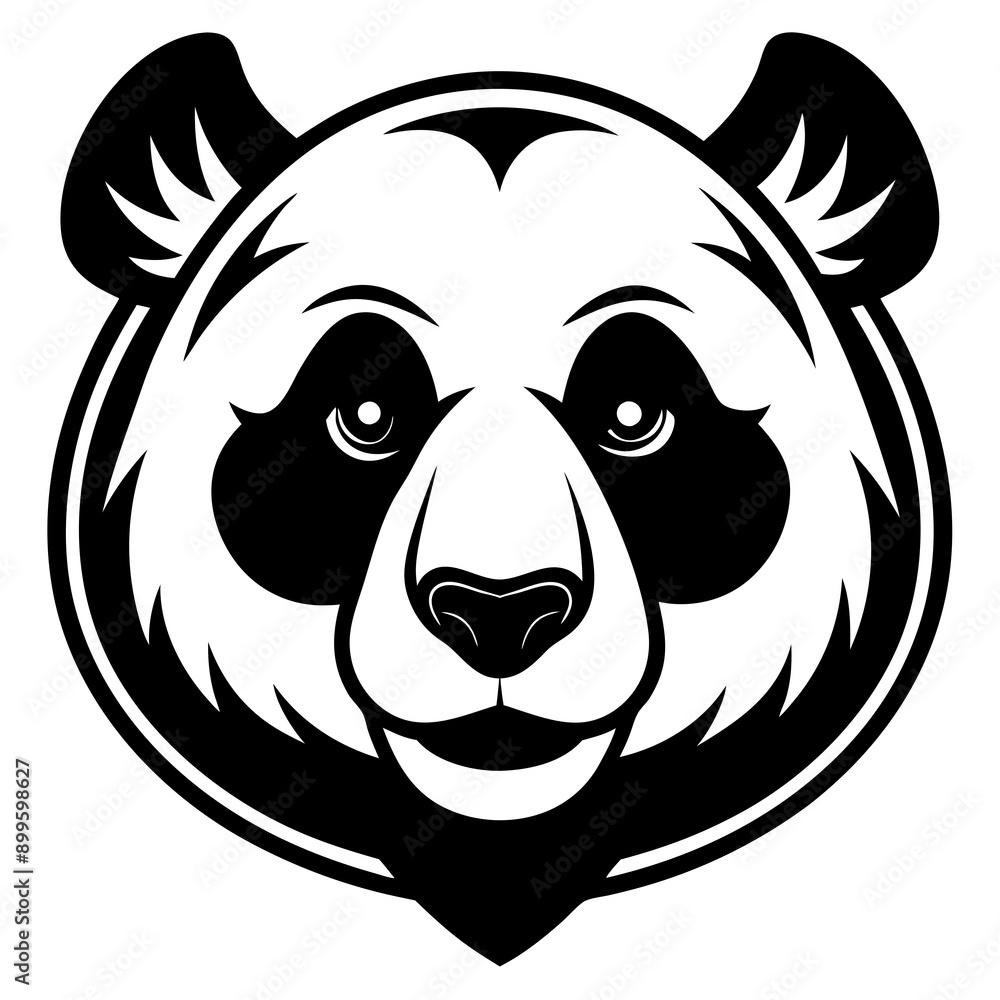 Obraz premium panda bear Vector