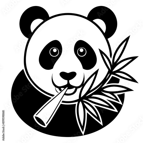 panda bear Vector