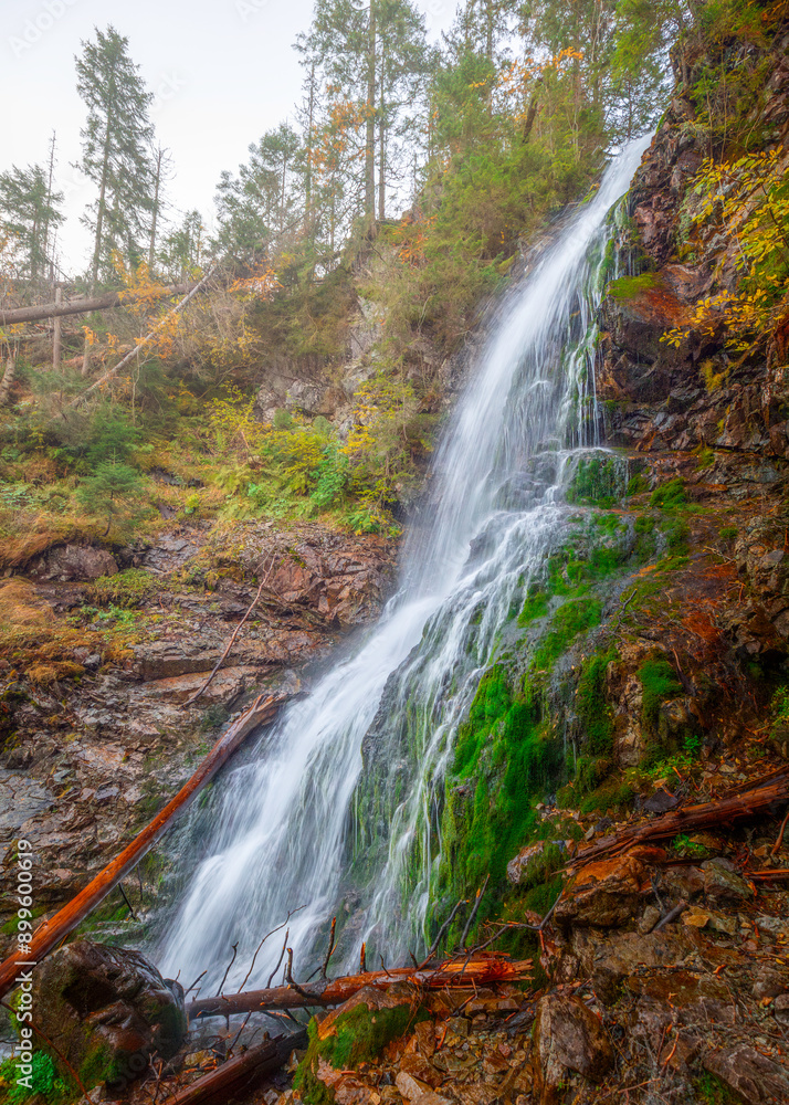Obraz premium waterfall in autumn forest