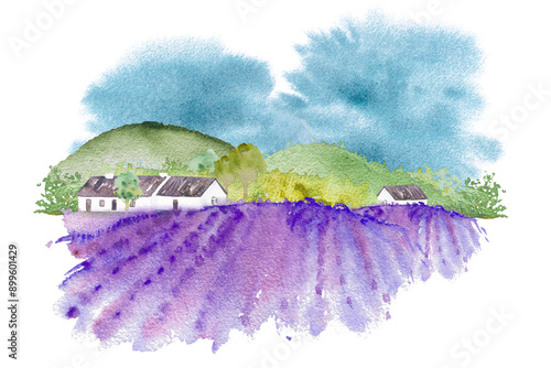 Watercolor illustration, landscape of Provence, watercolor illustration, hand drawing lavender fields, mountains, village houses, trees.