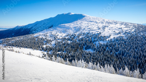winter landscape with mountains