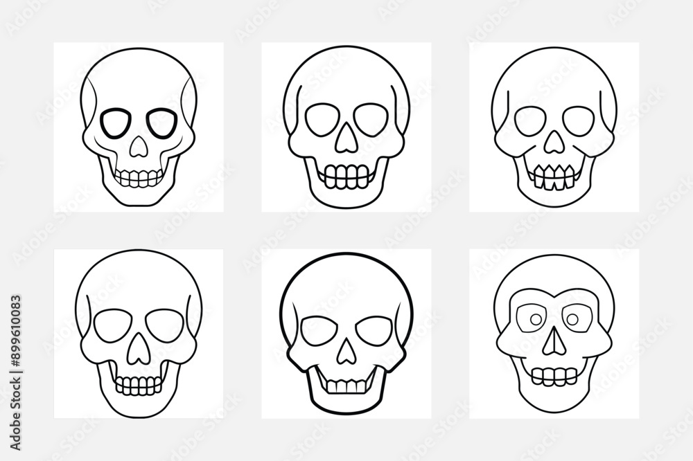 skull and bone skull and bone