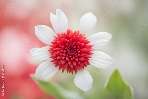 Winky double red white flower bokeh background, AI Generated photo