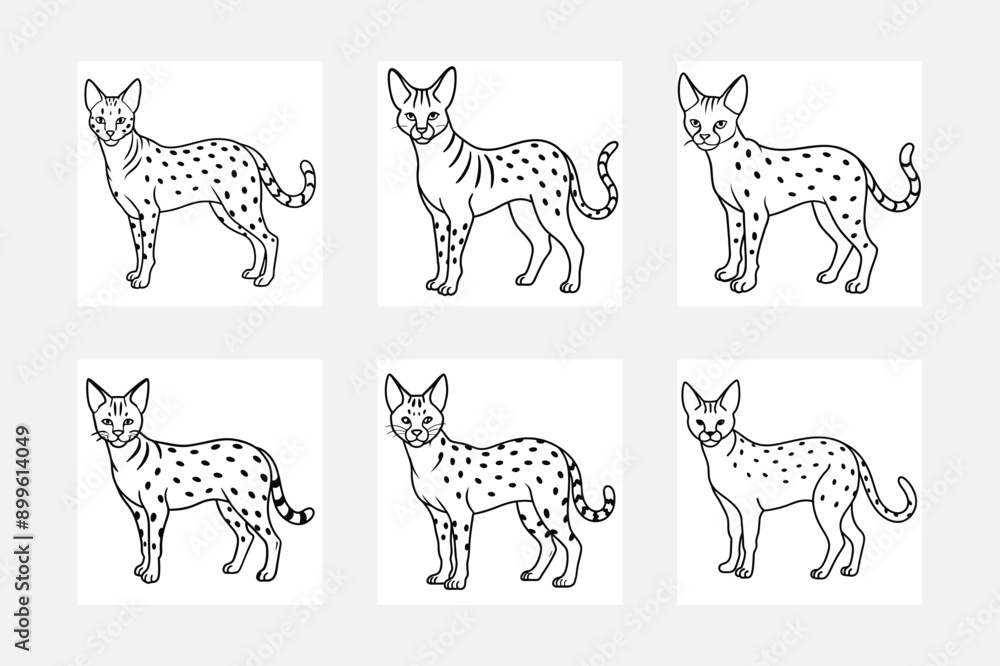 Obraz premium Whimsical Serval Line Art for Kids Coloring Books