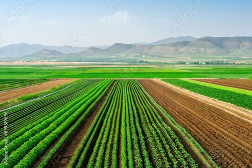 Aerial view of a vast farmland with rows of crops and mountains in the background.