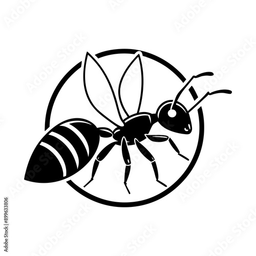 Ant Vector