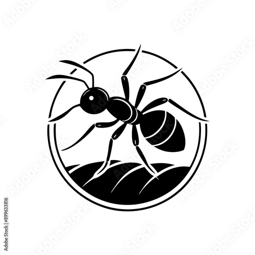 Ant Vector