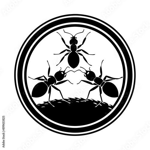 Ant Vector
