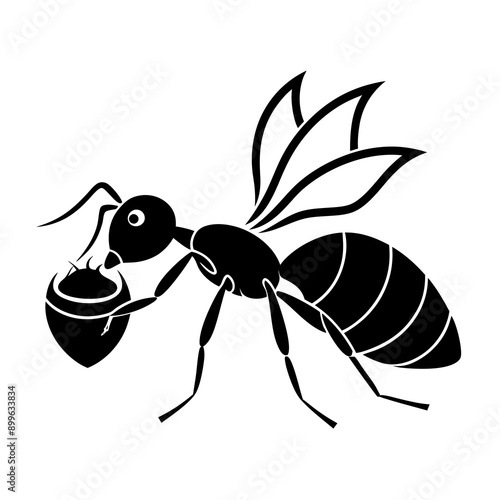 Ant Vector