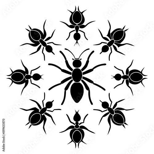 Ant Vector