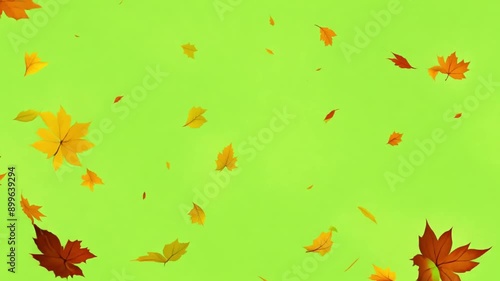 Falling autumn leaves 4K animation video with a green screen background. Orange leaves flutter down fall season. Use it for your project presentation, or to provide a beautiful relaxing environment.