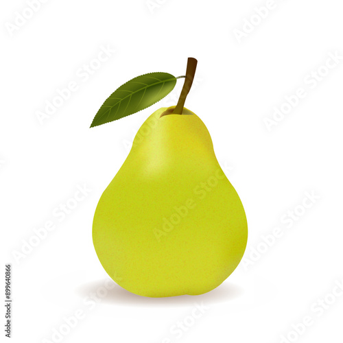 Pear Illustration