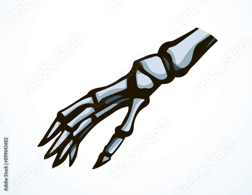 Vector drawing. Bones of the hand