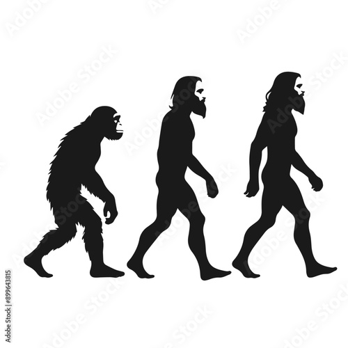 Clean Black and white vector silhouette of a Evolution of human specie on white background