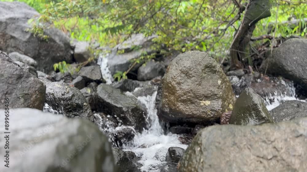 Nature,crab,sea,water,waterfall,mist,fog,tree,mountains,grass,underwater Nature,crab,sea,water,waterfall,mist,fog,tree,mountains,grass,underwater