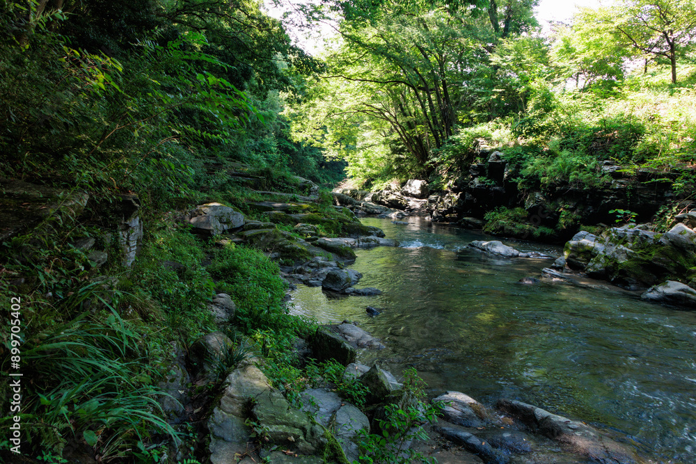 Obraz premium 渓谷の綺麗な川の流れ