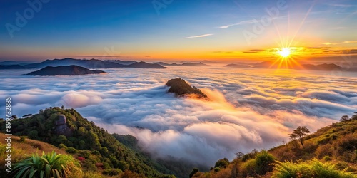 Sunrise over sea of fog on Phu Chi Fa mountain in Chiang Rai, Thailand, sunrise, sea of fog, Phu Chi Fa photo